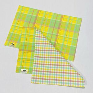 SET 0f 2 New PIER ONE IMPORTS Spring Easter Placemat Table Setting Pastels